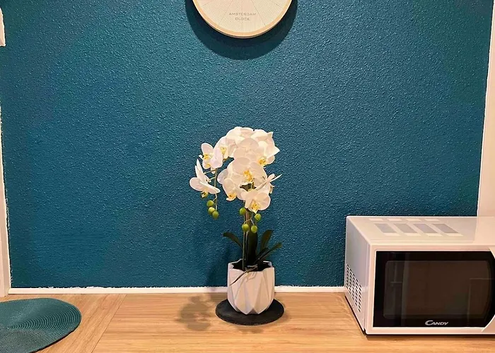 Apartamento Refuge Sur La Corniche ! 5 Minutes De St-gilles